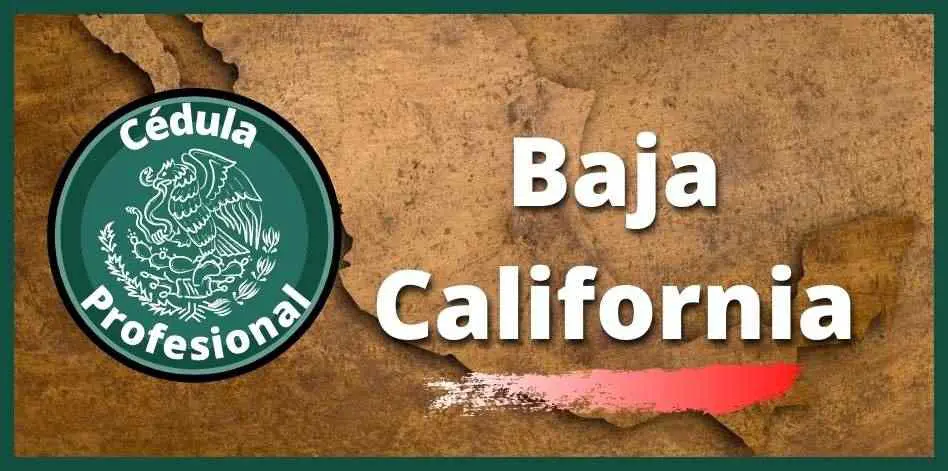 cédula profesional baja california