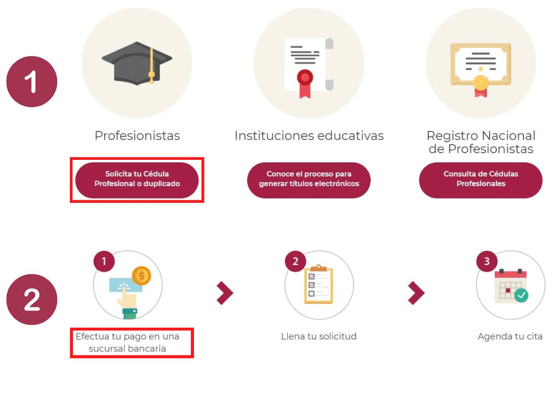 ᐈ TRÁMITE de CÉDULA PROFESIONAL | SEP【2025